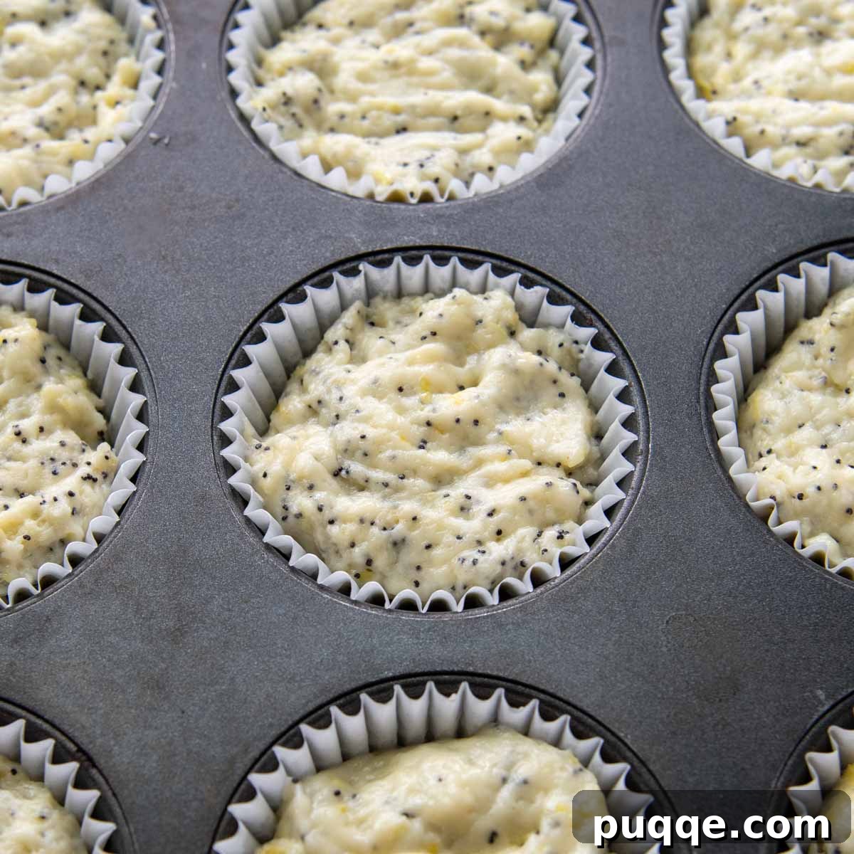 Unbaked lemon poppy seed muffin batter, neatly scooped into paper-lined muffin tins, resting before baking.