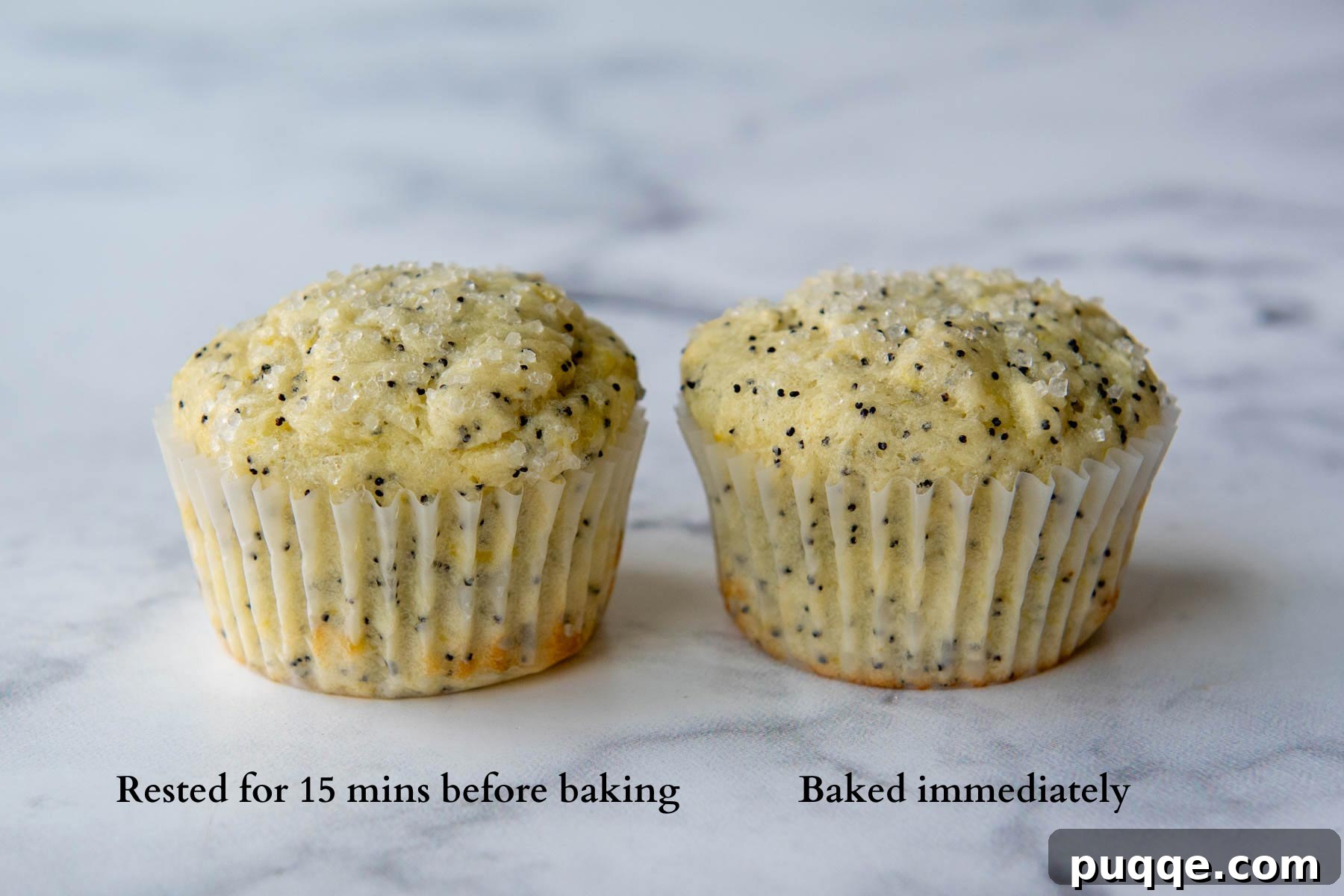 A comparison of two baked muffins, illustrating the difference in dome height after resting the batter versus baking immediately.