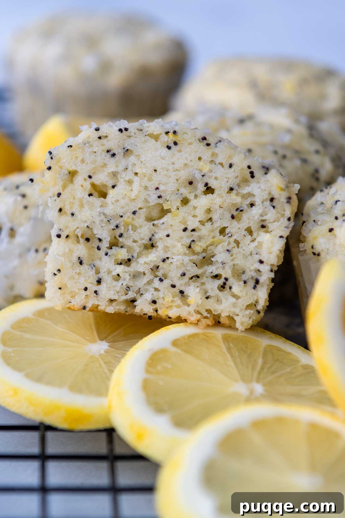 A gluten-free lemon poppy seed muffin, cut open to reveal its moist, tender crumb and scattered poppy seeds.