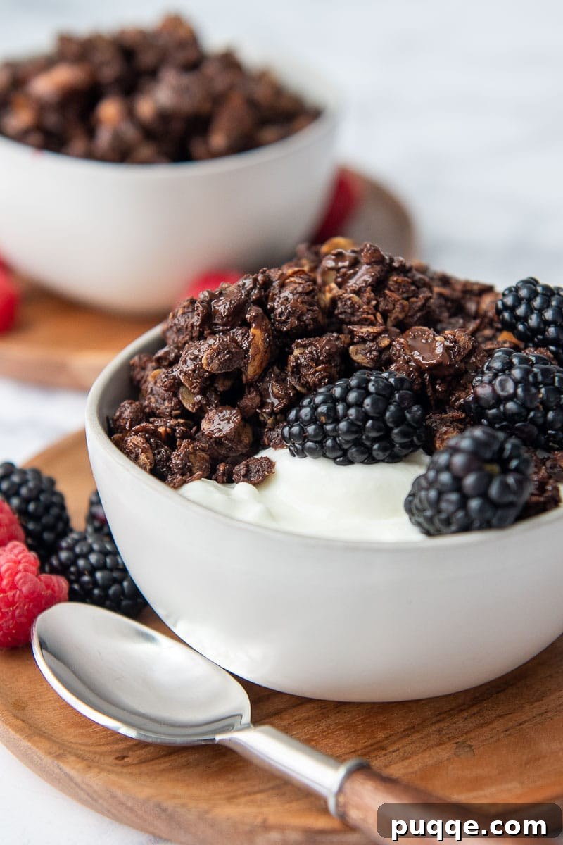 close up shot of chocolate peanut butter granola in a bowl of yogurt with a spoon laying next to it