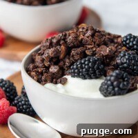 close up shot of chocolate peanut butter granola in a bowl of yogurt with a spoon laying next to it