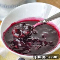 A bowl of blueberry syrup with a spoon resting on the side, a perfect topping for any meal.