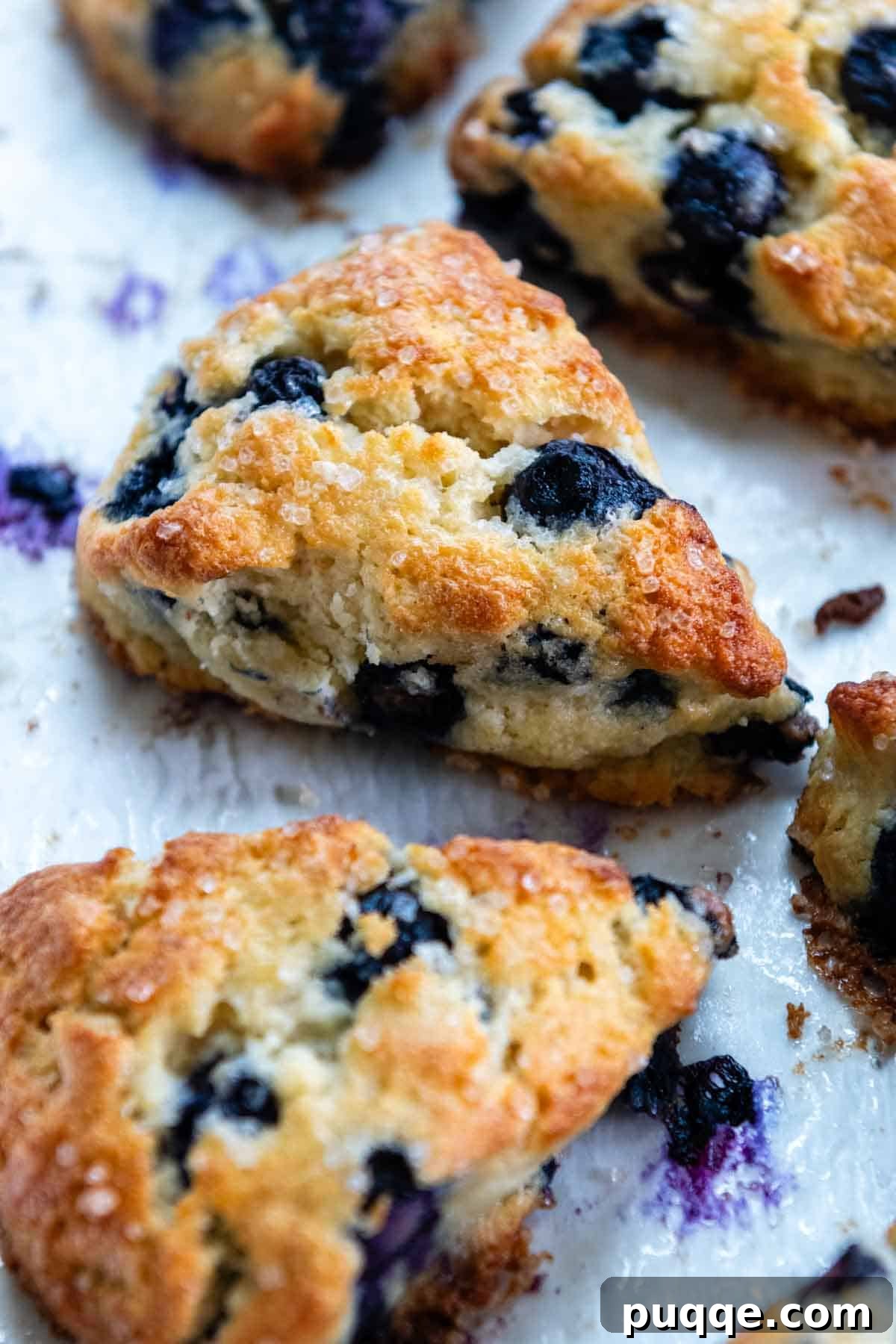 A beautifully golden-brown blueberry scone on a baking sheet with others nearby, showcasing its tender crumb and crisp edges.