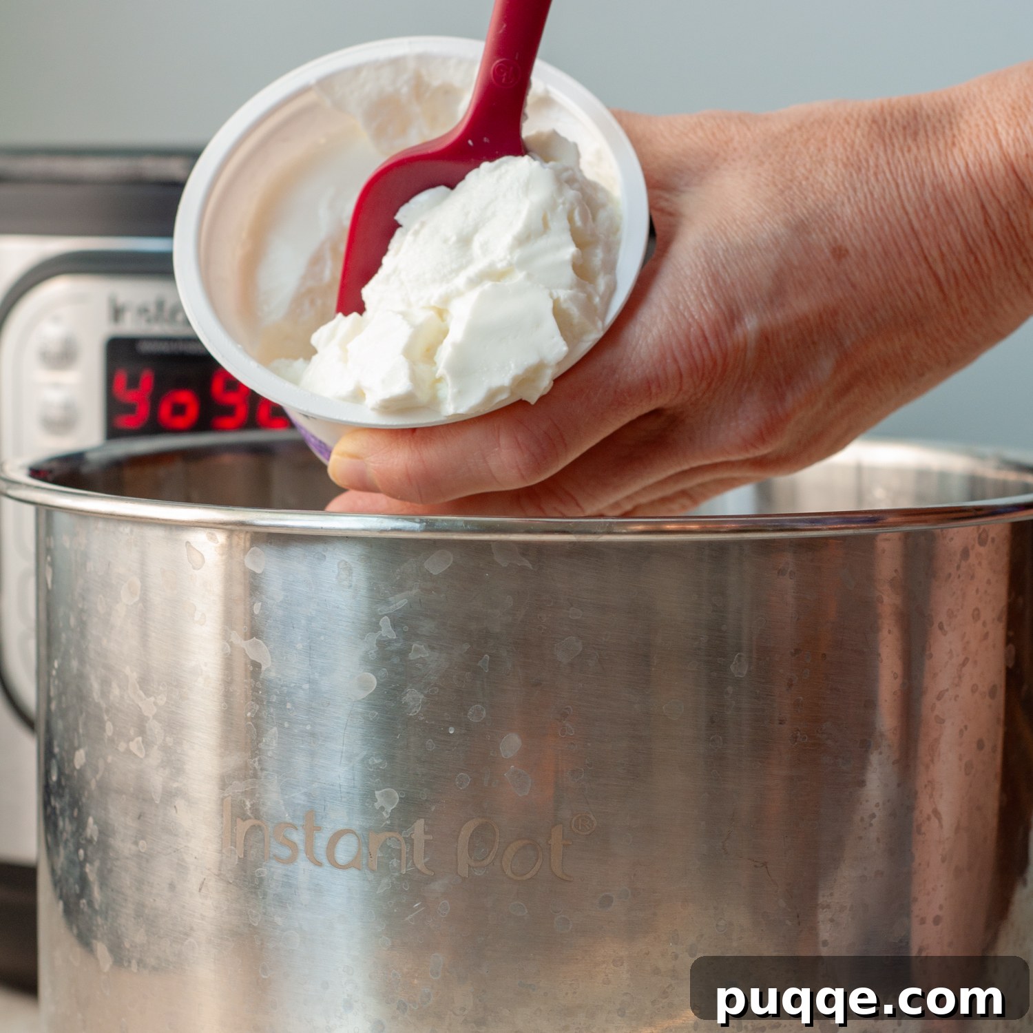 Adding plain yogurt starter into cooled milk in the Instant Pot inner pot, ready for whisking.