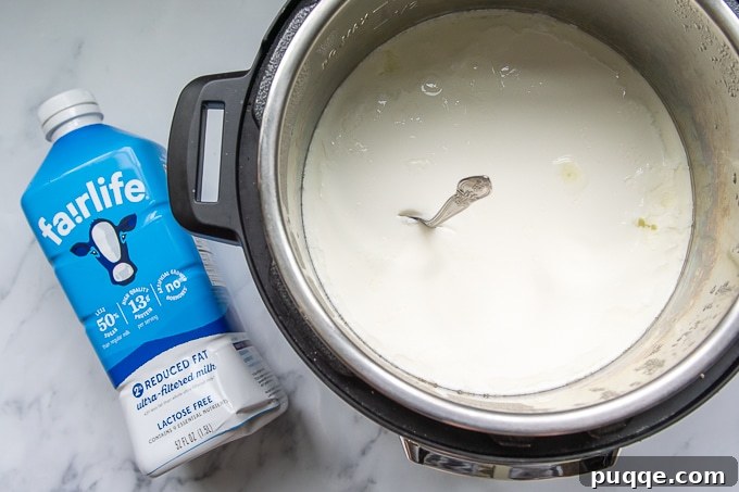 A spoon standing upright in a thick bowl of no-boil cold start Instant Pot yogurt, showcasing its incredible density.
