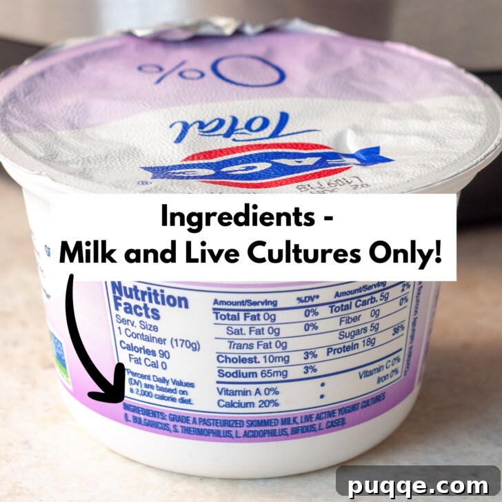 Close-up of a yogurt starter package label, highlighting ingredients to watch out for.