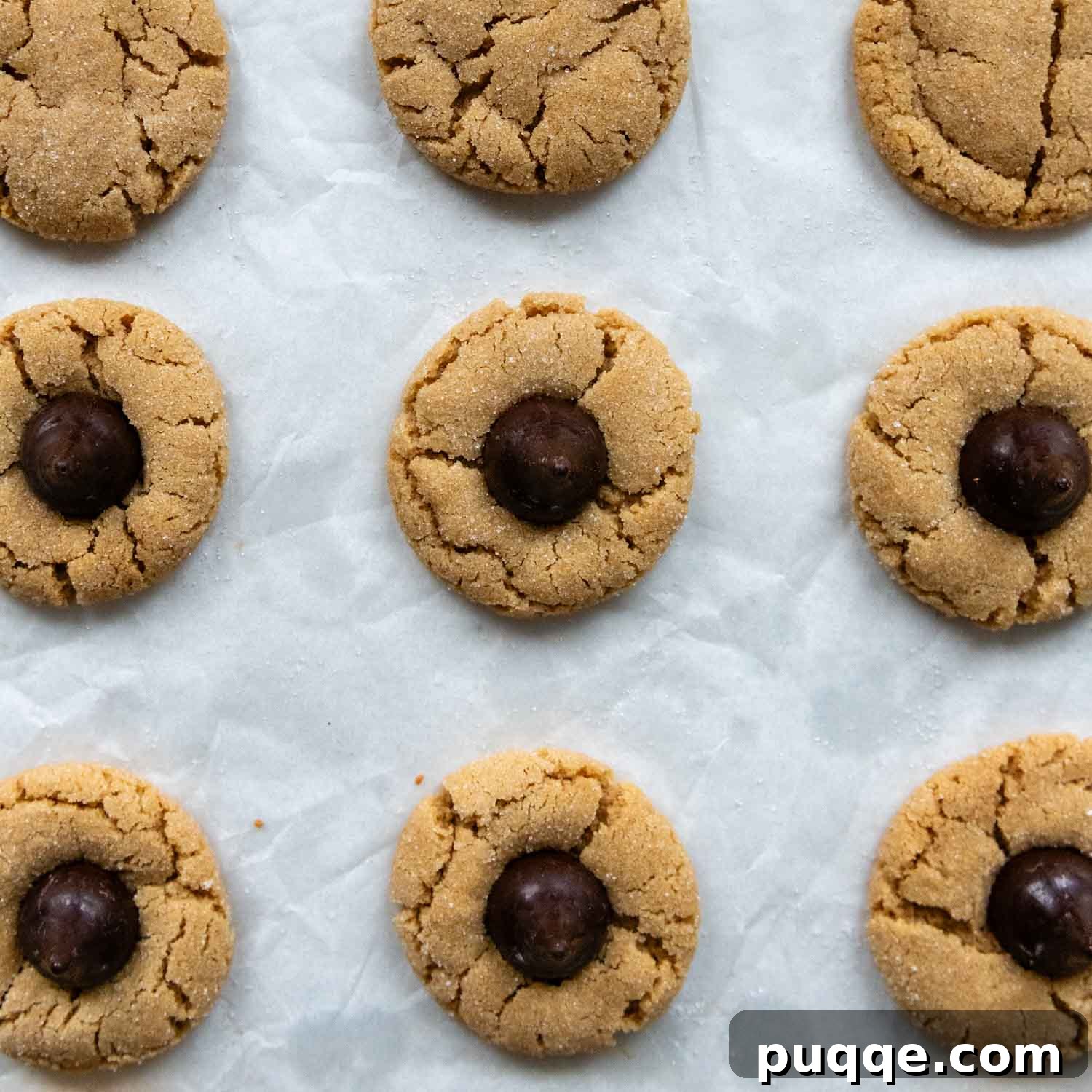 Old-Fashioned Tender Gluten-Free Peanut Butter Blossoms 7 Cookies on parchment paper with a chocolate kiss pressed in the center ready to be baked.