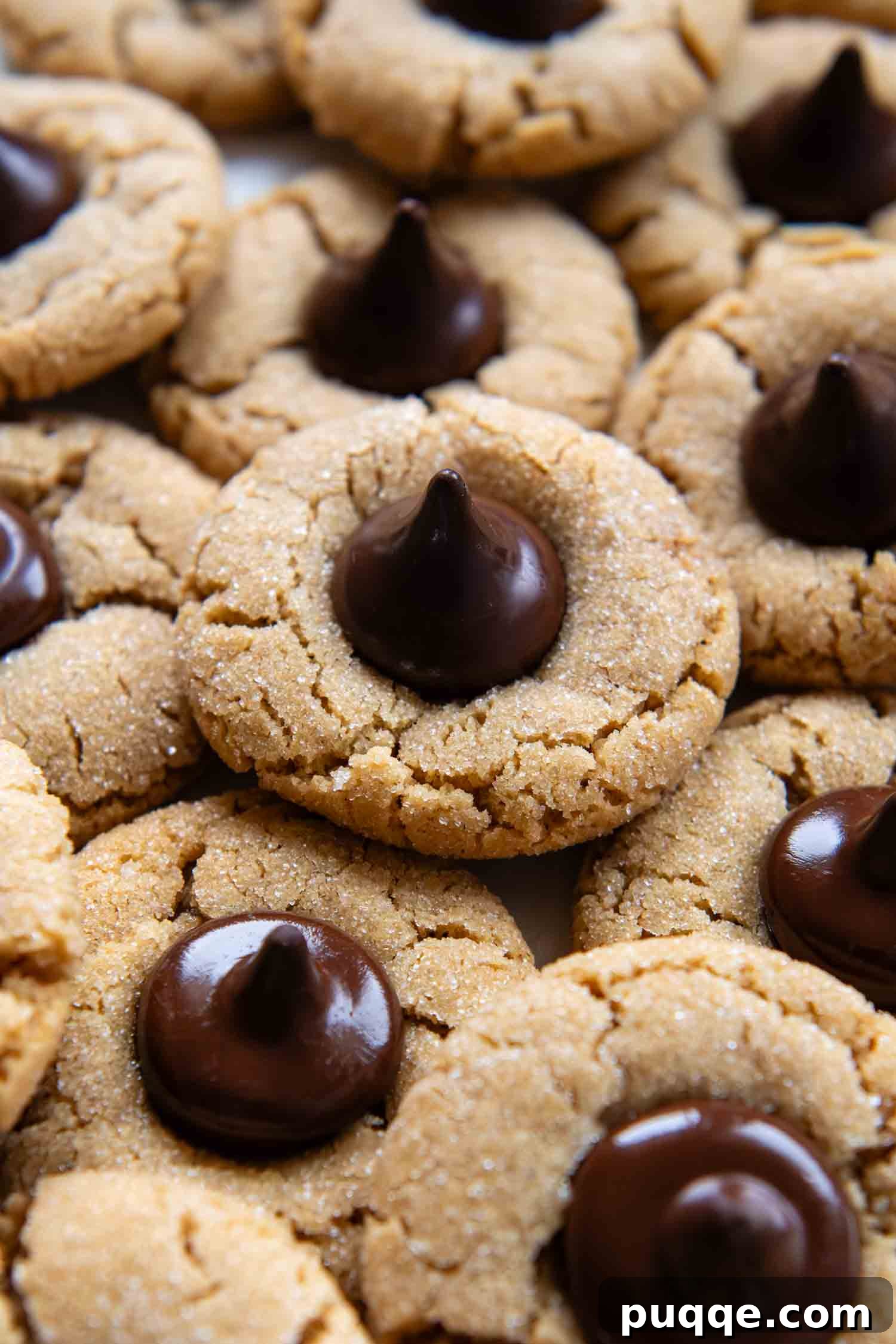 Old-Fashioned Tender Gluten-Free Peanut Butter Blossoms 8 Overhead photo of a bunch of the peanut butter blossom cookies.