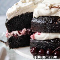 Close up of the completed Gluten-Free Black Forest Cake.
