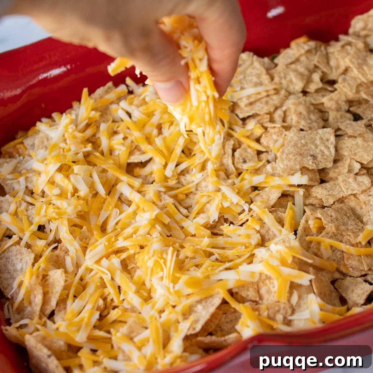 cheese sprinkled over chips.