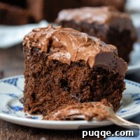 A piece of oat flour chocolate cake on a plate with a fork.