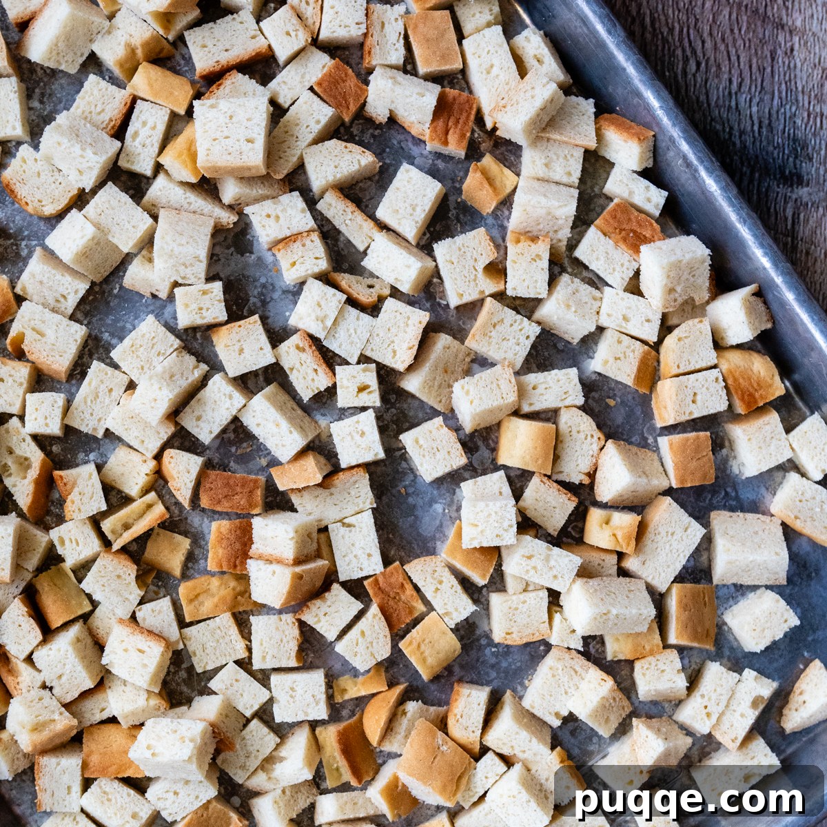 Gluten-free bread pieces cut into ¾-inch cubes on a baking sheet, ready for seasoning.