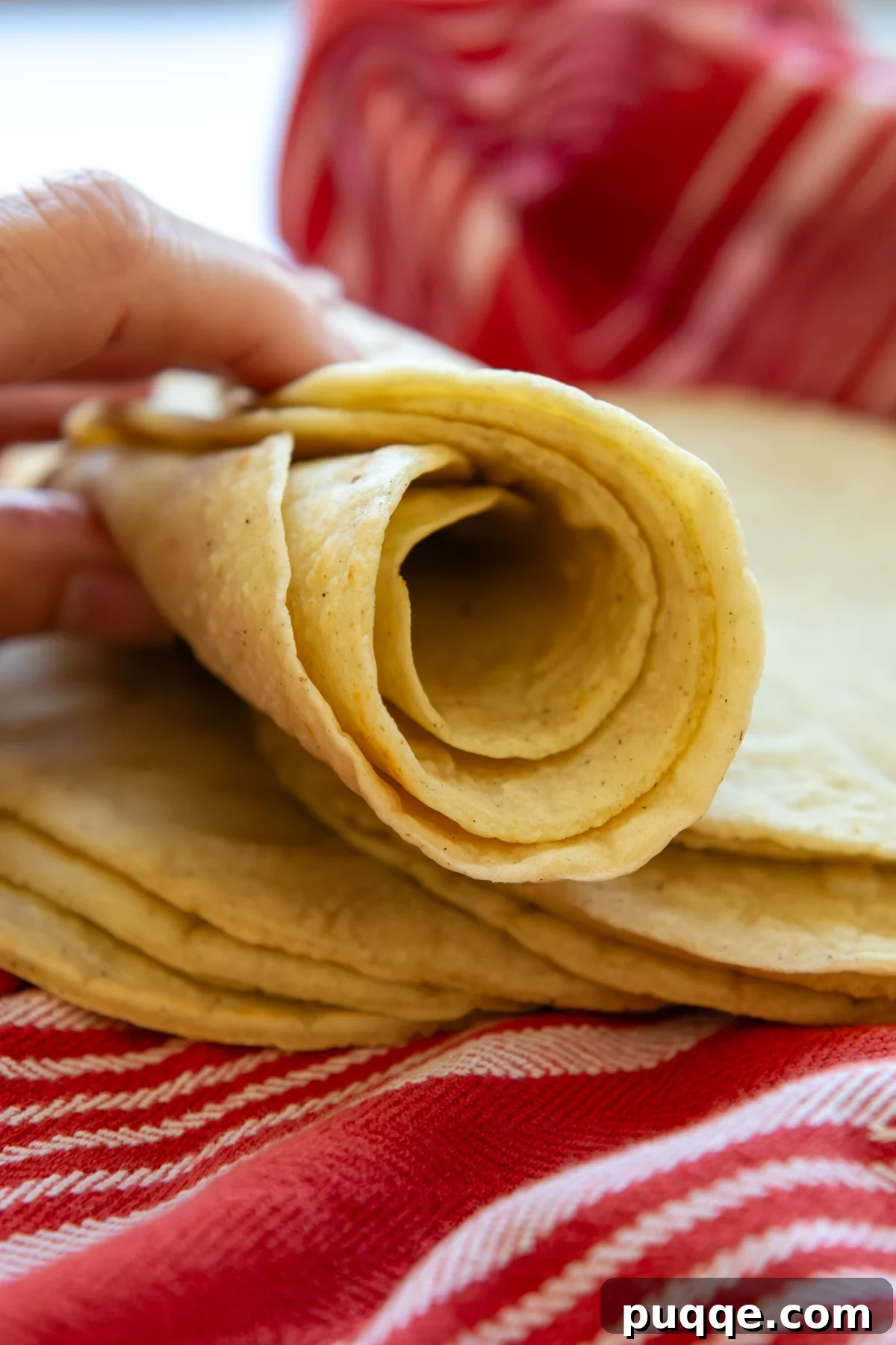 Rolled up stack of gluten free corn tortillas.