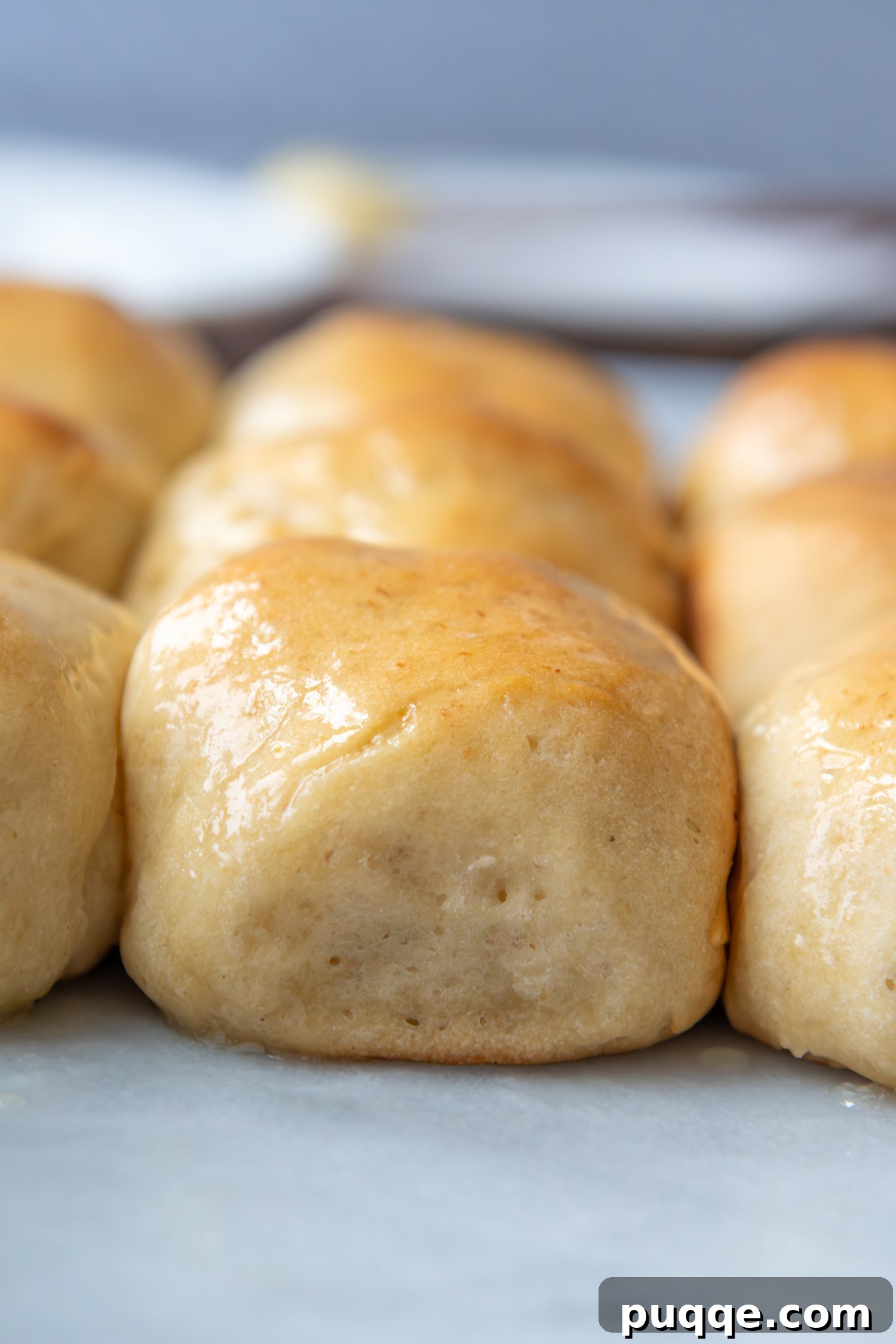Gluten-Free Hawaiian Rolls: Squishy Soft in Just One Hour 8 Freshly baked gluten-free Hawaiian rolls, still connected, cooling in their baking pan after being removed from the oven.