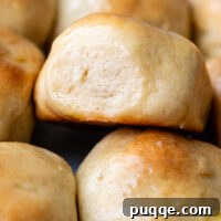 Close up of a bunch of Gluten Free Hawaiian Rolls.
