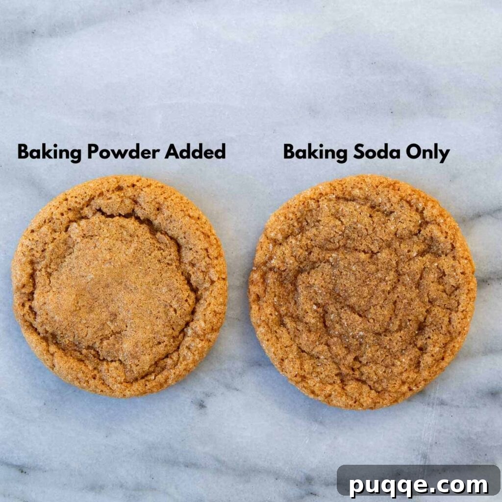 Comparison of two ginger cookies side by side: one baked with baking powder for extra lift, and one without, showing the difference in thickness.