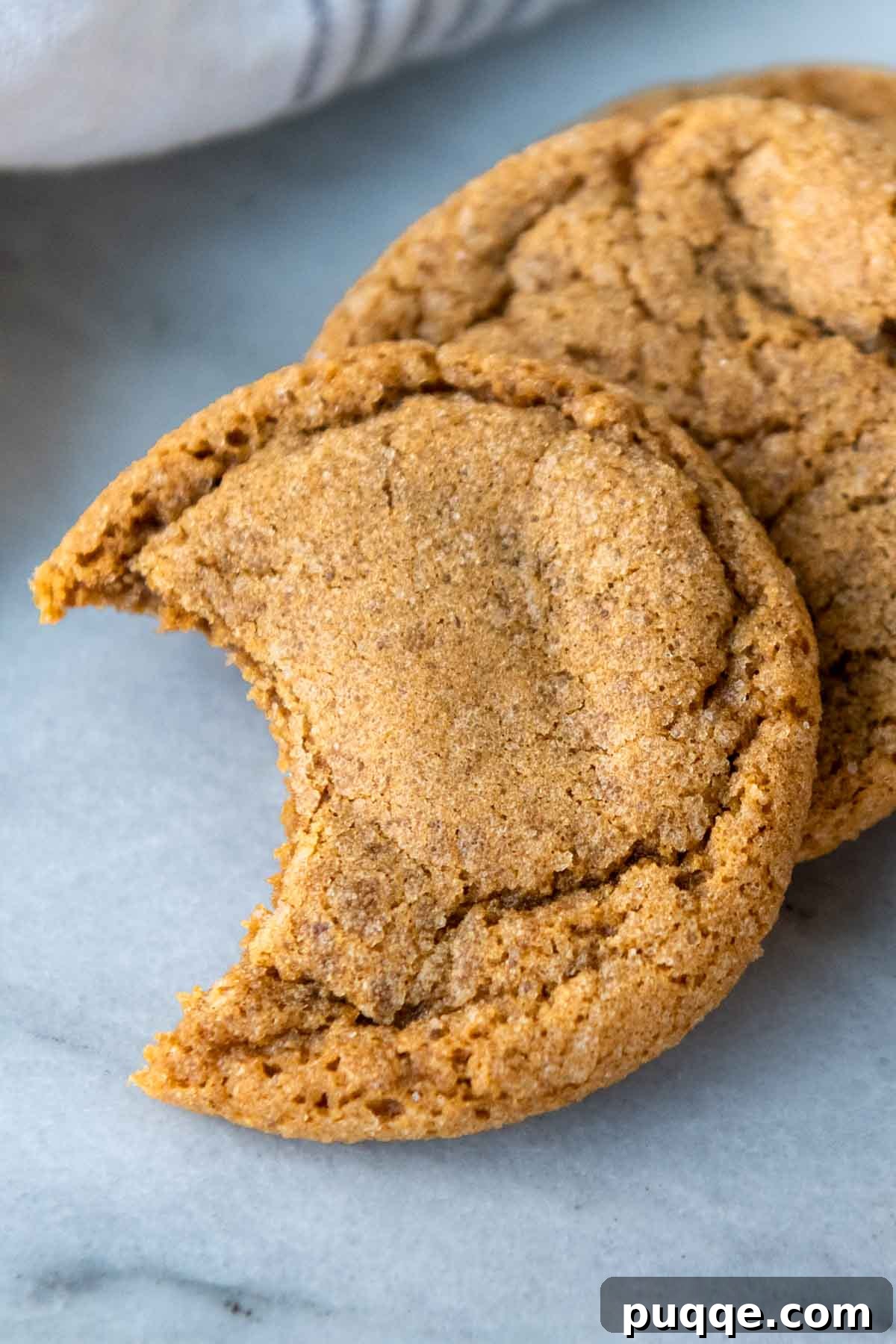 A close-up shot of a gluten-free ginger cookie with a delicious bite taken out, highlighting its soft and chewy interior.