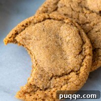 A delicious gluten-free ginger cookie with a bite taken out, showcasing its soft interior.