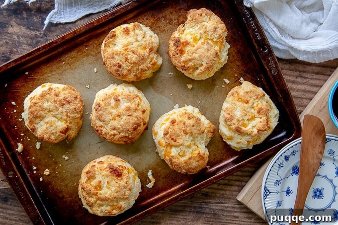 Melt-in-Your-Mouth Gluten-Free Cheddar Scones 9 A close-up of a stack of golden gluten-free cheese scones, highlighting their flaky texture and rich color.