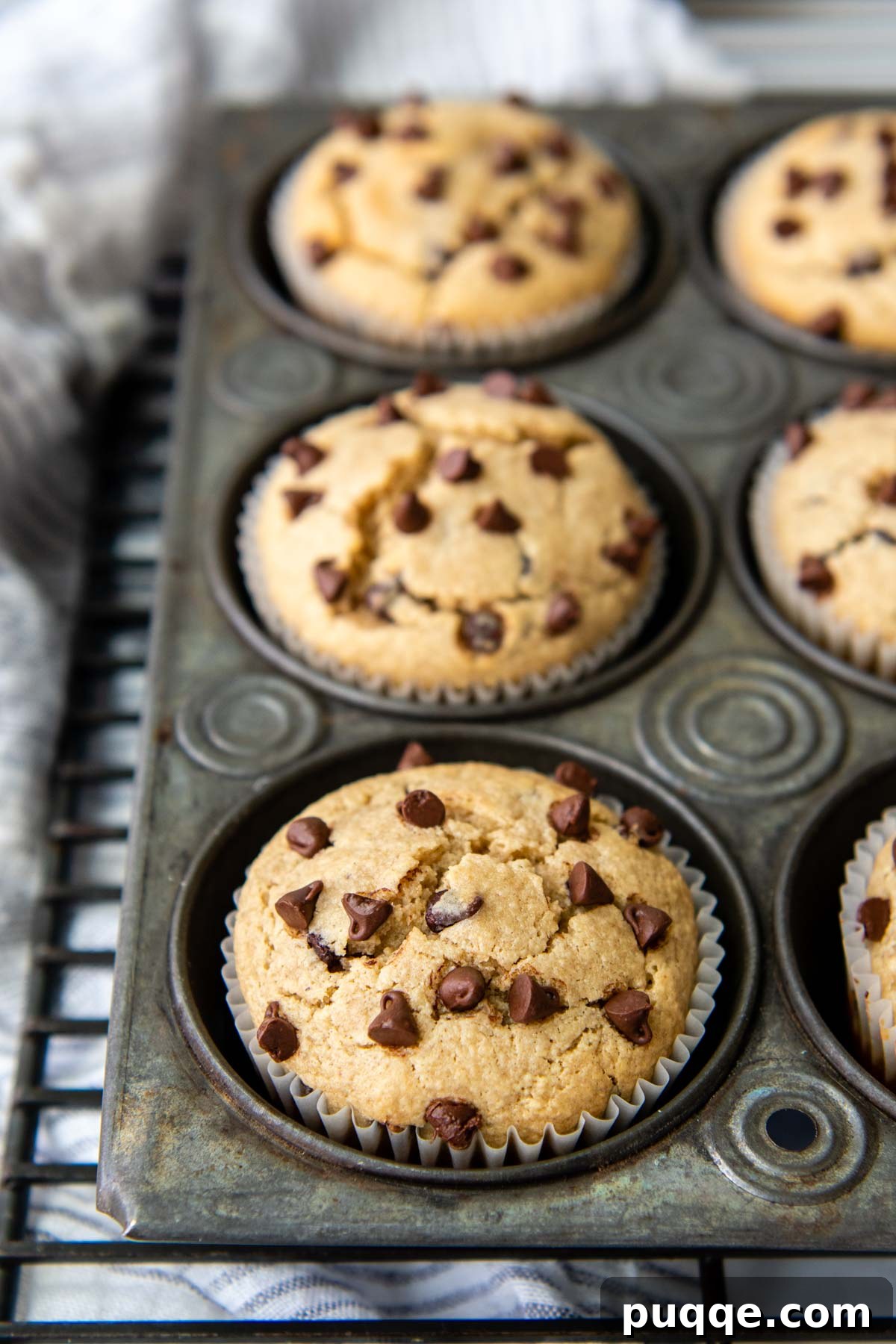 A muffin pan brimming with freshly baked almond flour chocolate chip muffins, resting on a cooling rack.