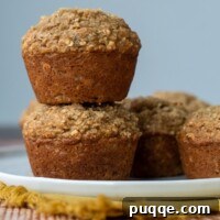 Wholesome Applesauce Oat Muffins 9 A stack of two applesauce muffins on a white plate