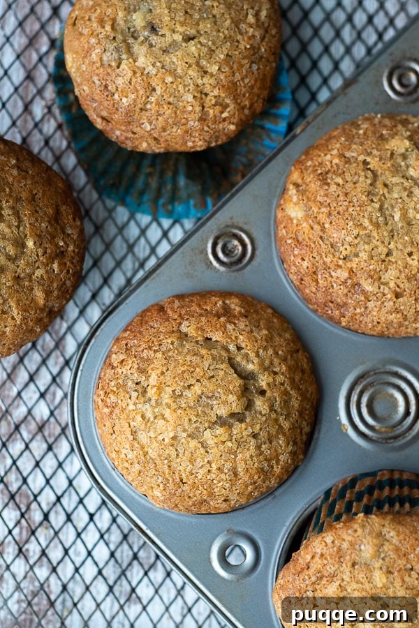 Perfectly Tender Gluten-Free Banana Muffins 7 An overhead shot of freshly baked gluten-free banana muffins cooling on a wire rack, still in their muffin tin, showcasing their golden-brown tops.