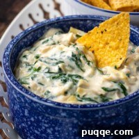 A tortilla chip resting in a bowl of creamy spinach artichoke dip, garnished and ready.