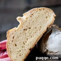 A slice of gluten free sourdough showing the inside texture.