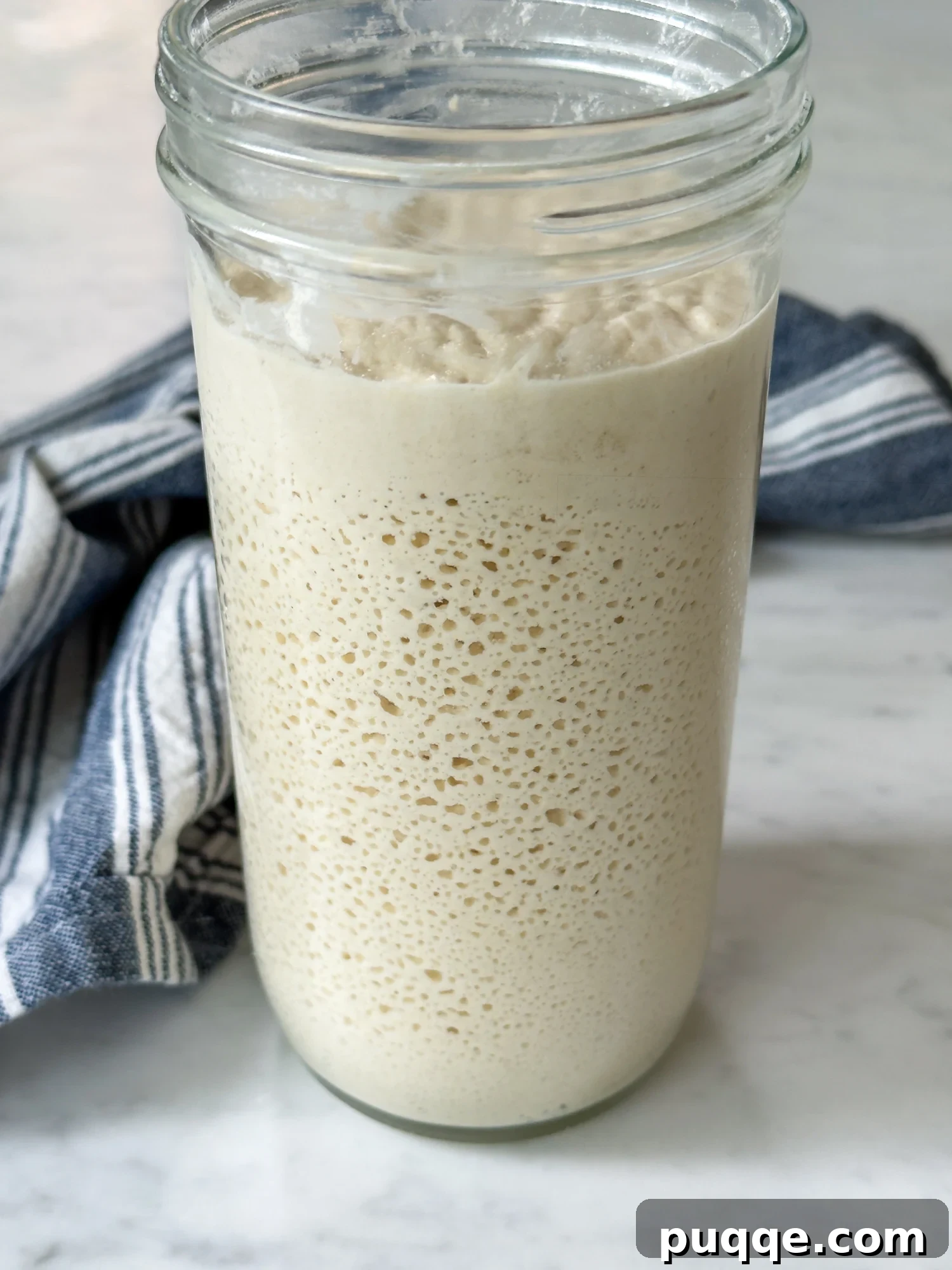 Gluten-Free Sourdough Starter: Reliable Step-by-Step Recipe 2 a GF sourdough starter on a white marble counter with a blue towel behind.
