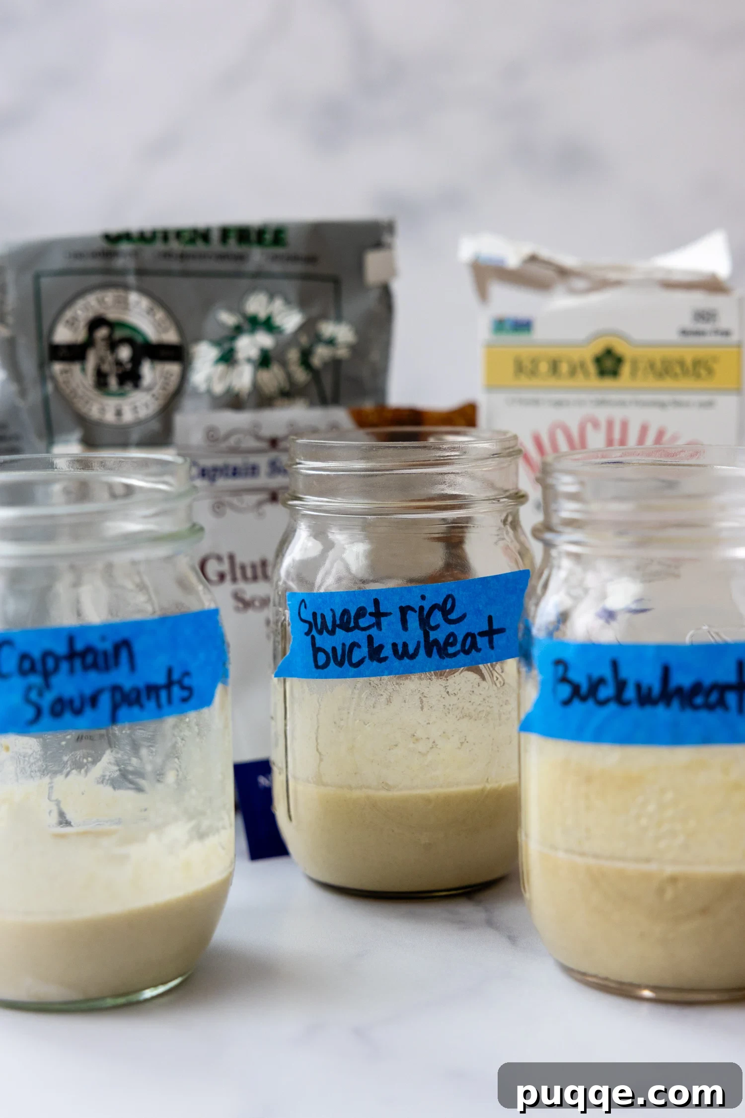 Gluten-Free Sourdough Starter: Reliable Step-by-Step Recipe 3 3 glass jars of different starters made up of 3 different GF starches.