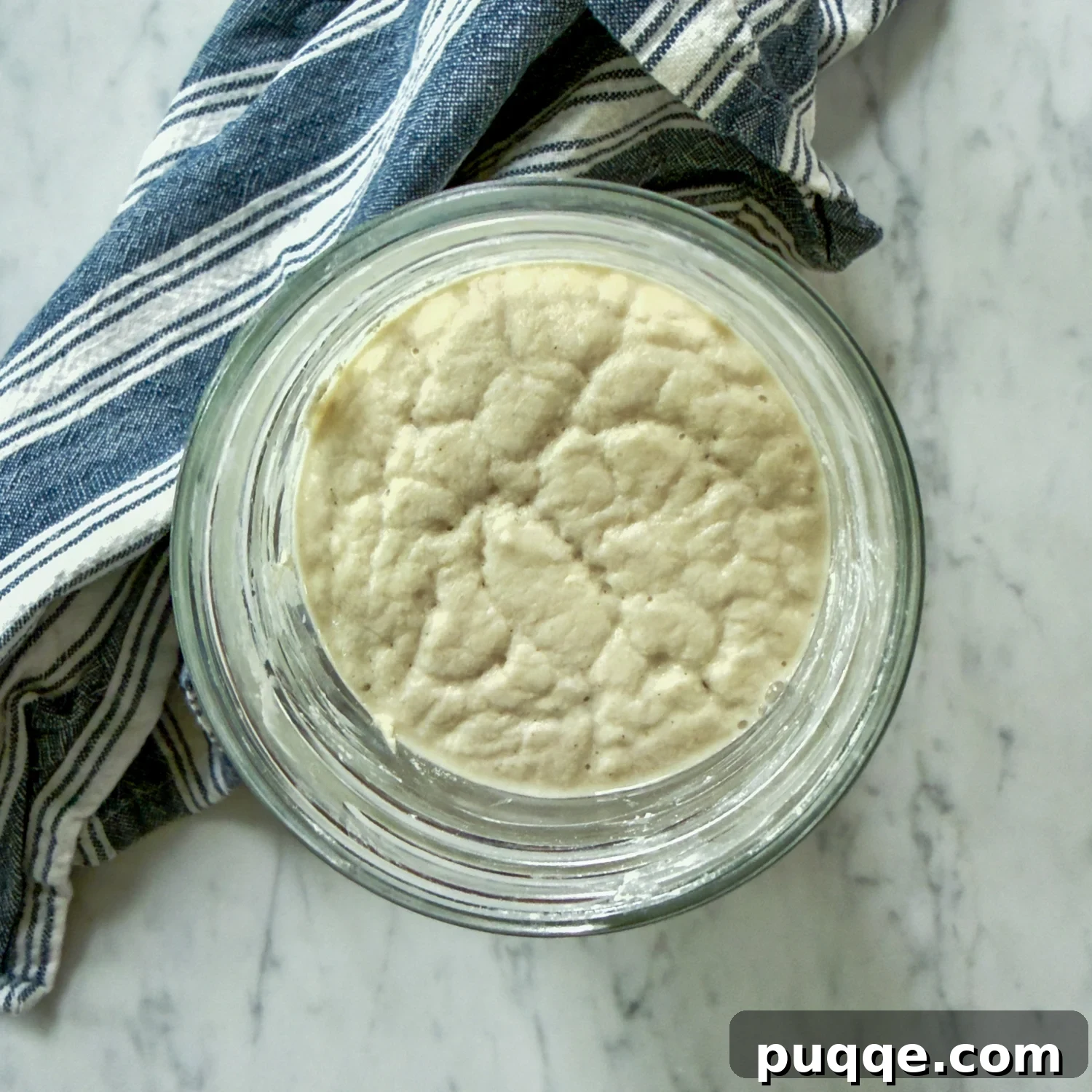 Gluten-Free Sourdough Starter: Reliable Step-by-Step Recipe 6 overhead shot showing what a bubbly, activated starter should look like.