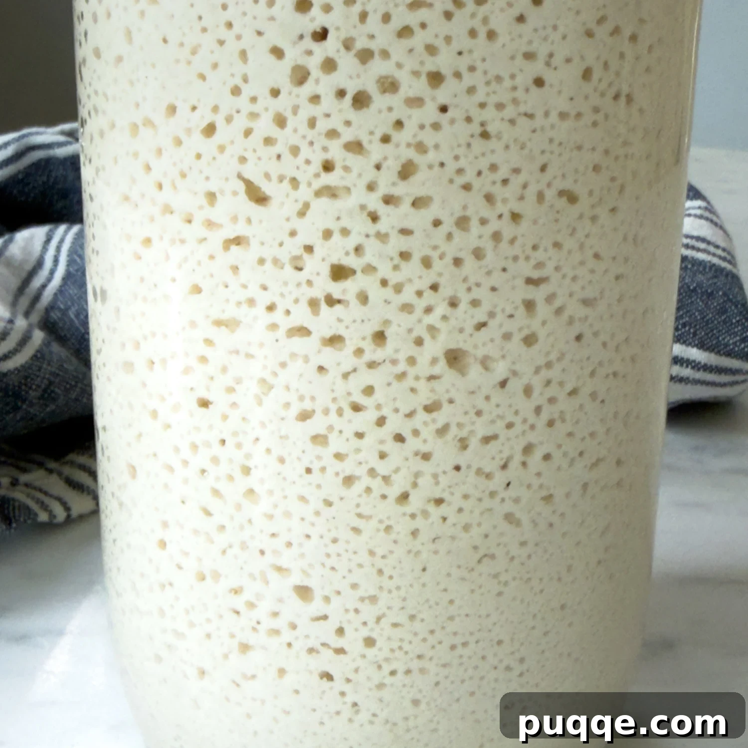 Gluten-Free Sourdough Starter: Reliable Step-by-Step Recipe 7 close up of the bubbles in the starter.